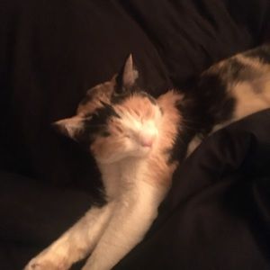 Meet your Posher, Corey